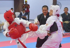 Kempo Rebut Satu Emas dan Satu Perak Porwil